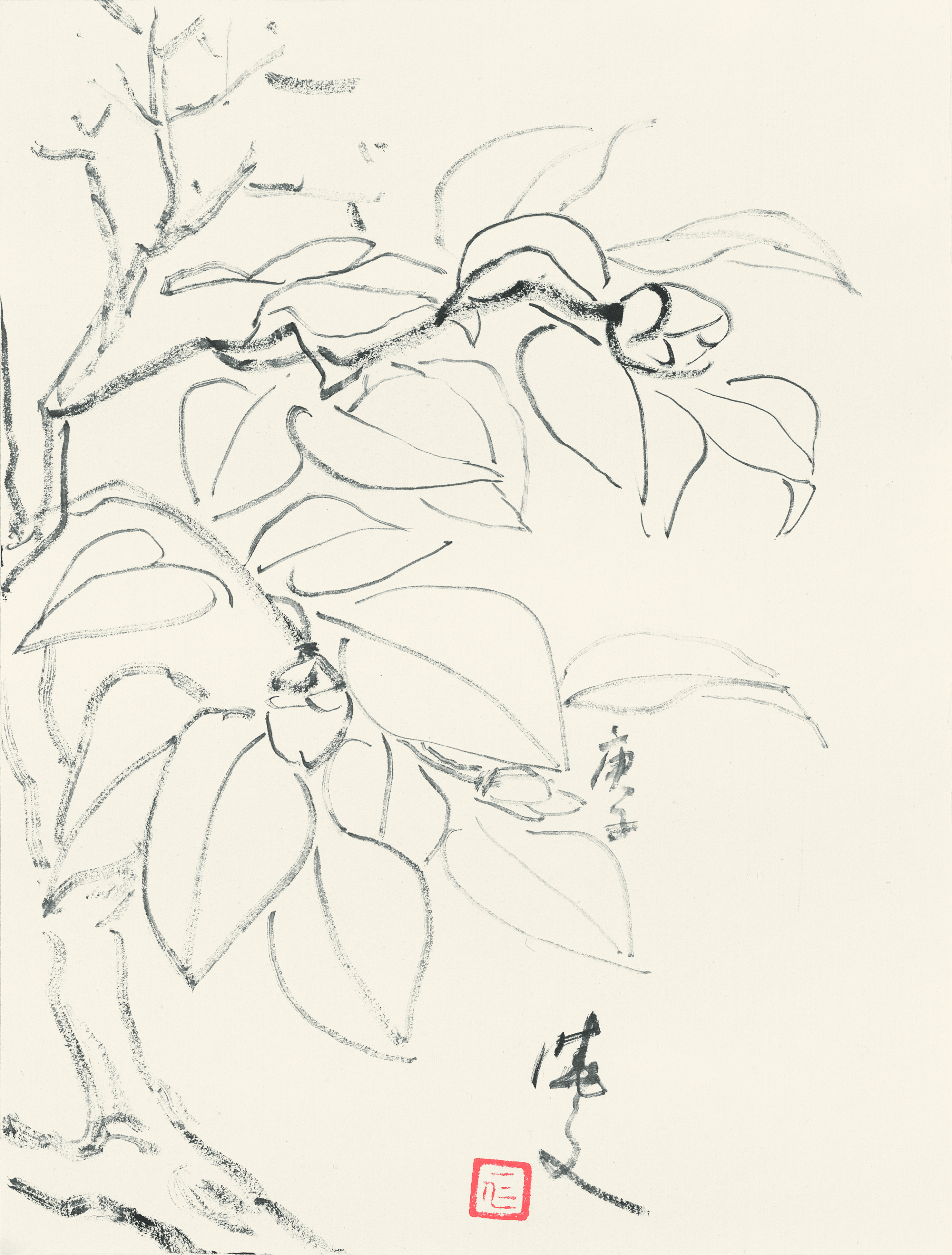 茶花 29.5cm×22.5cm 2020年.jpg